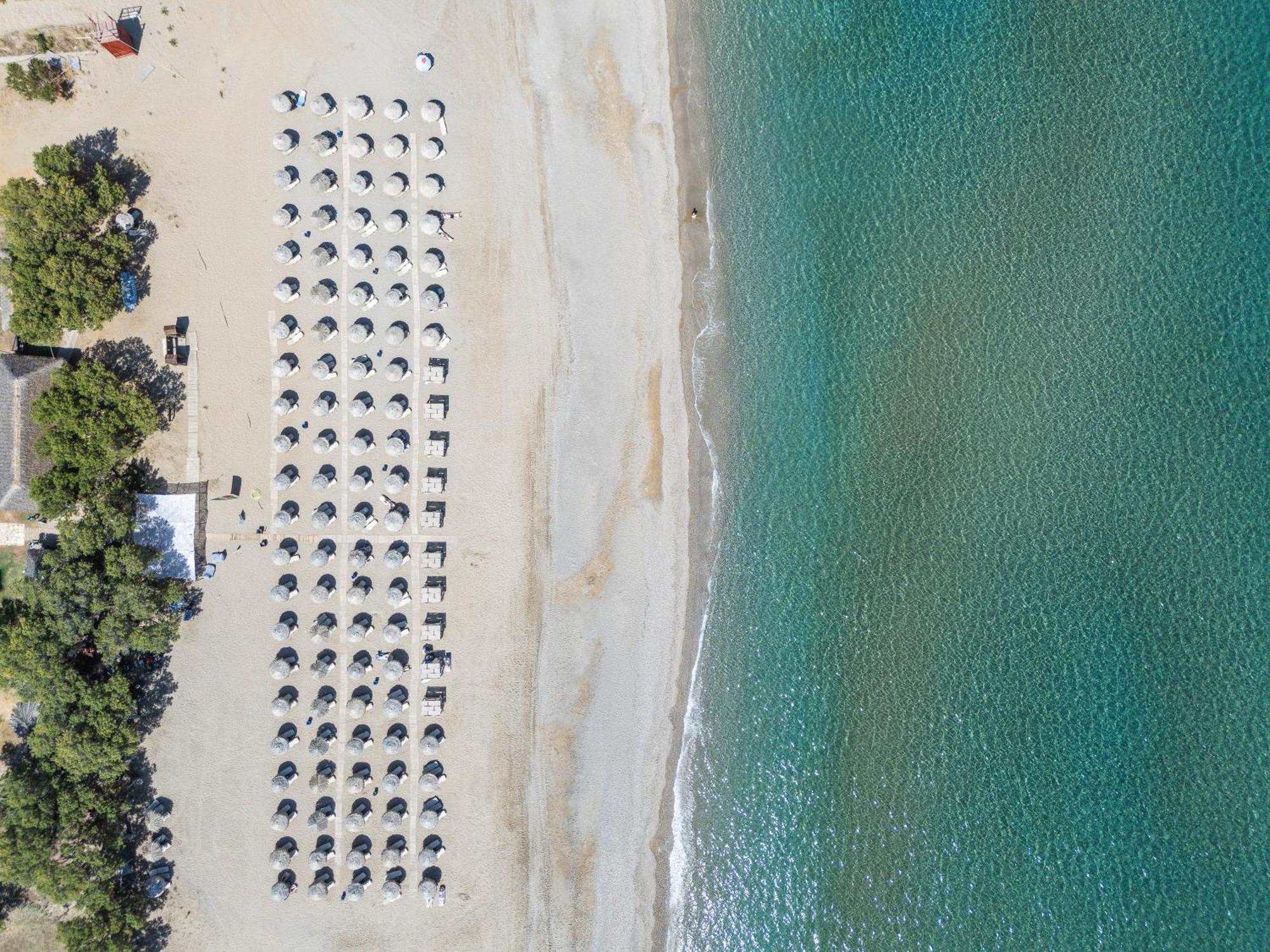 Hotel Iosifina, 80 Metres From Episkopi Beach! Dhrámia Dış mekan fotoğraf